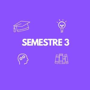 semetre3